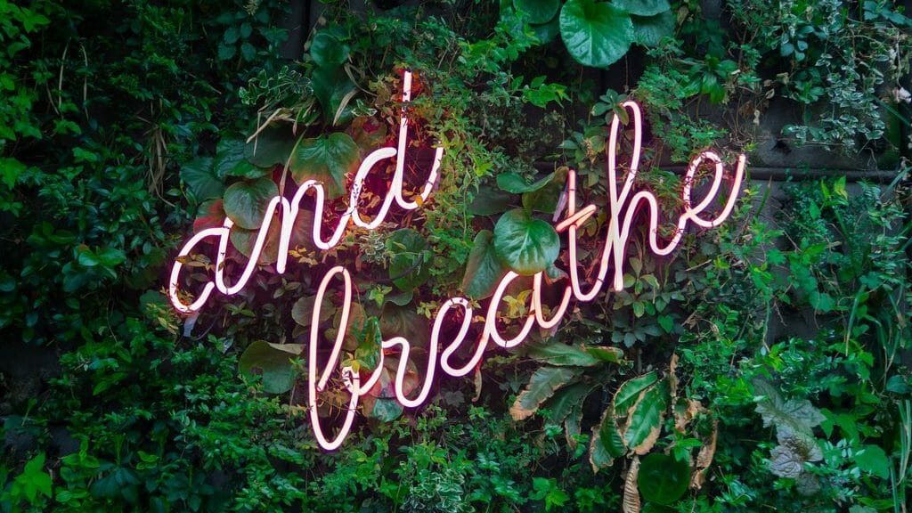 The text "and breathe" spelled out with thin neon lights on a foliage wall